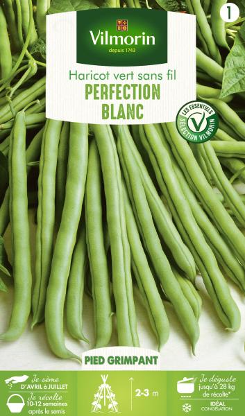 Légumes Secs - Haricot Blanc de Juillet - PACKAGING_RECTO